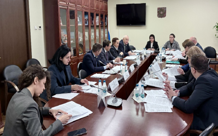 Заседание рабочей группы по законодательному обеспечению защиты прав коренных малочисленных народов Севера, Сибири и Дальнего Востока Российской Федерации